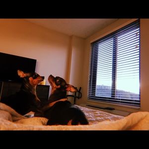 Meet your Posher, Yuri